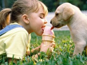 a girl eats ice cream with a dog and is infected with parasites