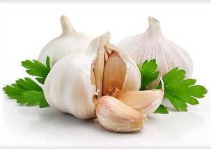Purification of garlic